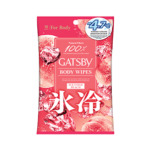 BODY WIPES