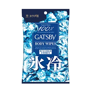 BODY WIPES