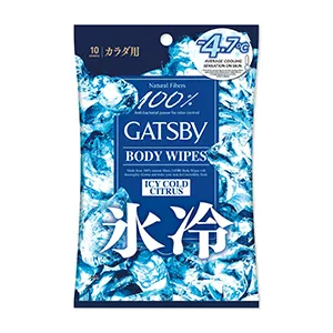 ICE-TYPE DEODORANT Body Wipes Ice Citrus